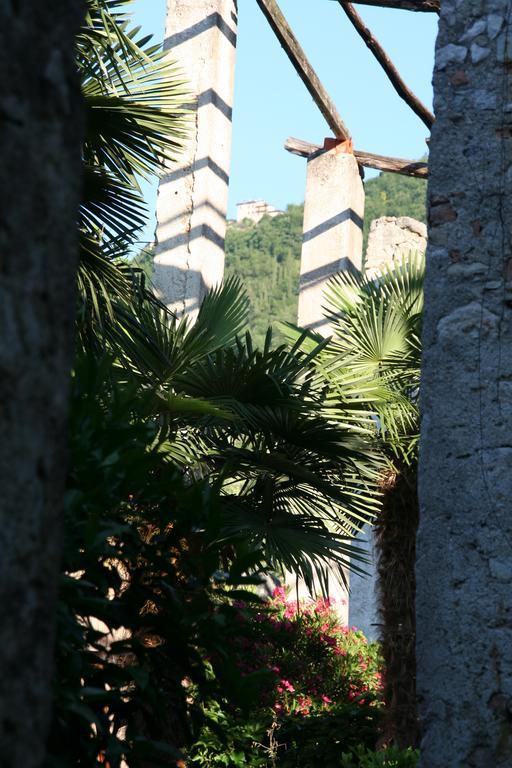 Villa Residence La Limonaiaガルニャーノ 部屋 写真
